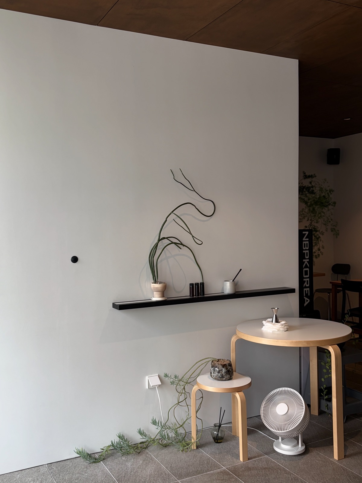 A calm cafe interior where neat tables and an assortment of potted plants come together in harmony 단정한 테이블과 다양한 식물 화분들이 조화를 이루는 차분한 분위기의 카페 내부 공간