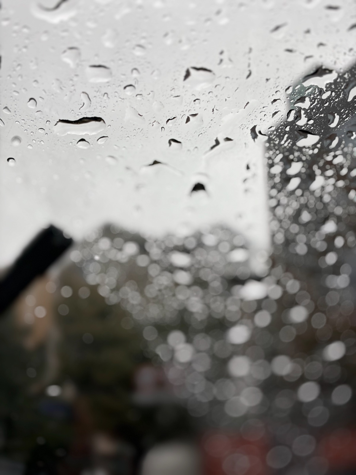 The cafe beyond the raindrops 빗방울 너머의 카페